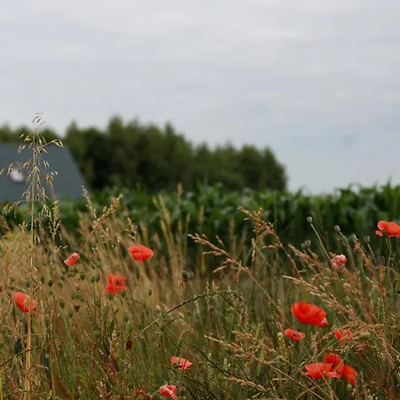 Jej I Jego - Eleganckie Z Balia Na Wylacznosc بيت للعطل