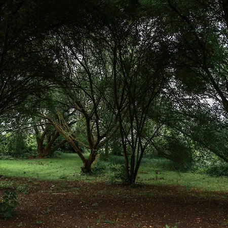 Jej I Jego - Eleganckie Z Balia Na Wylacznosc