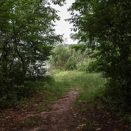 Jej I Jego - Eleganckie Z Balia Na Wylacznosc * Niewiesze