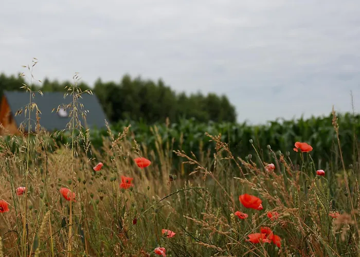 Jej I Jego - Eleganckie Z Balia Na Wylacznosc בית נופש