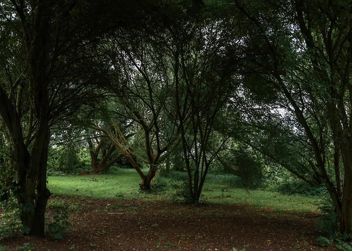 Jej I Jego - Eleganckie Z Balia Na Wylacznosc