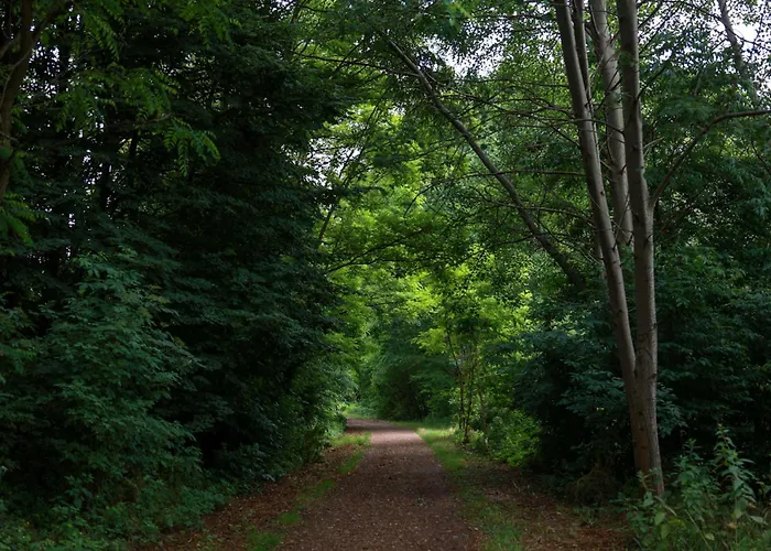 Jej I Jego - Eleganckie Z Balia Na Wylacznosc בית נופש Niewiesze
